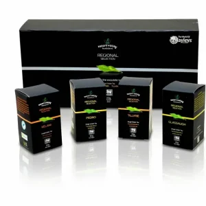 Regional SelectionTea Gift Box